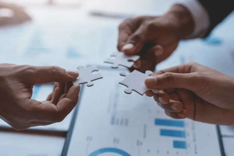 B2B Distribution & Strategic Partnerships